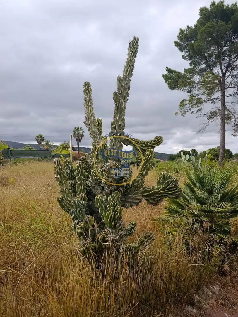 Casa o xalet en venda en Ontinyent amb Jardí privat, Traster i Piscina