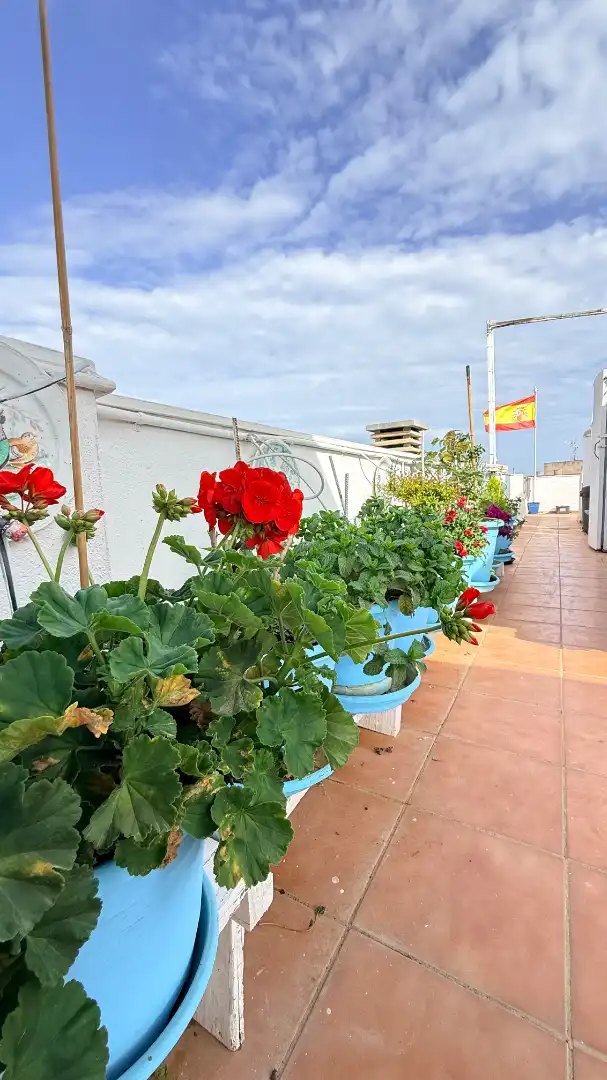Terrassa de Àtic en venda en Mijas amb Aire condicionat, Calefacció i Parquet