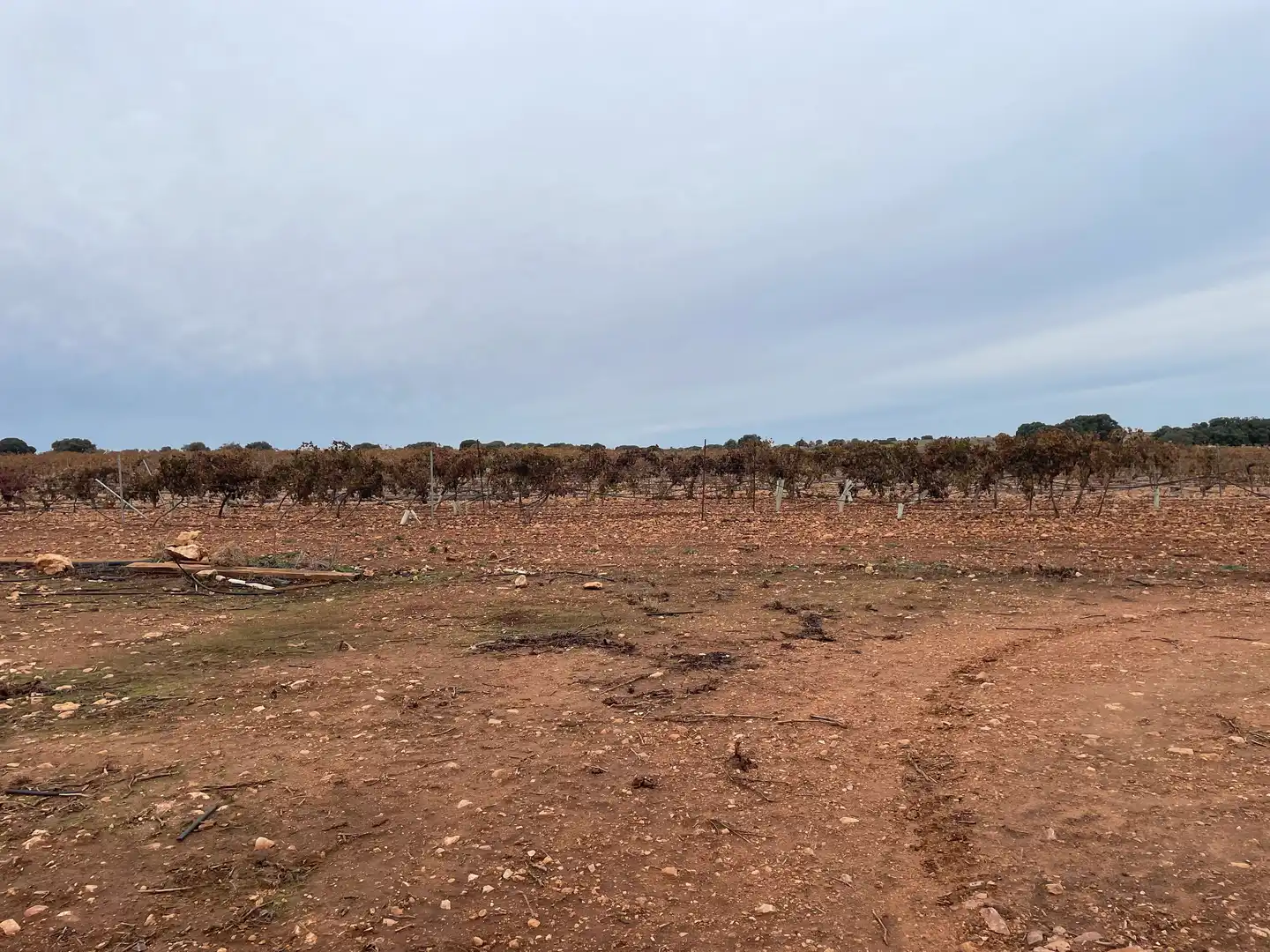 Terreno rustico in vendita a TO-2999 5, imagen 13