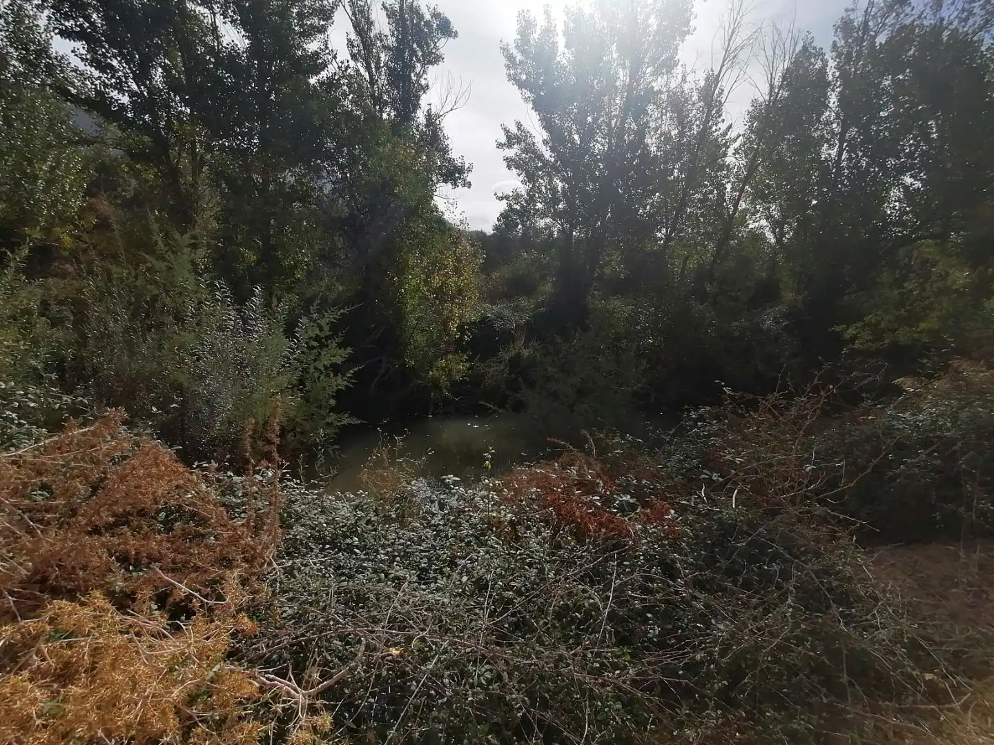 Terreno en venta en Ardales