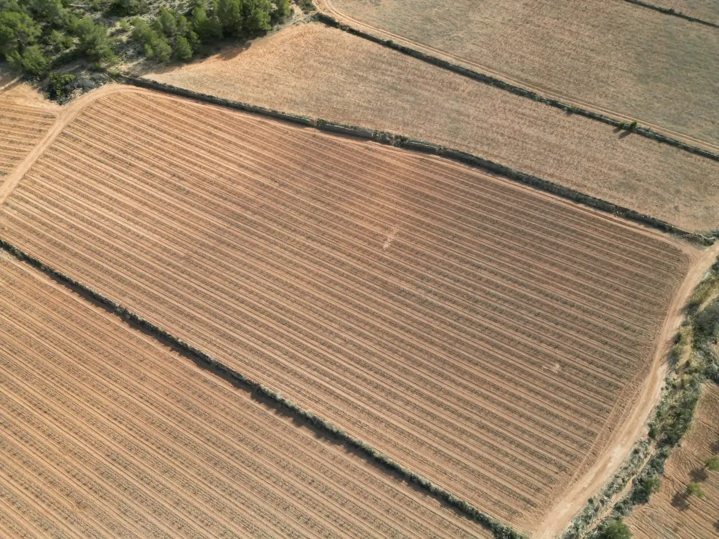 Residential land for sale in El Pinós / Pinoso, imagen 8
