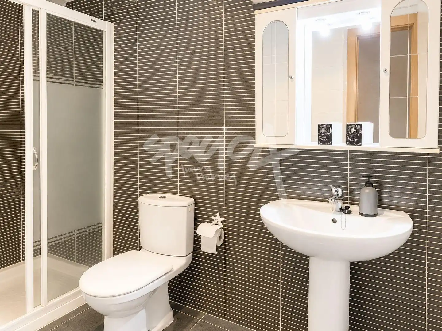 Penthouse with lift for sale in CARINYENA, imagen 17