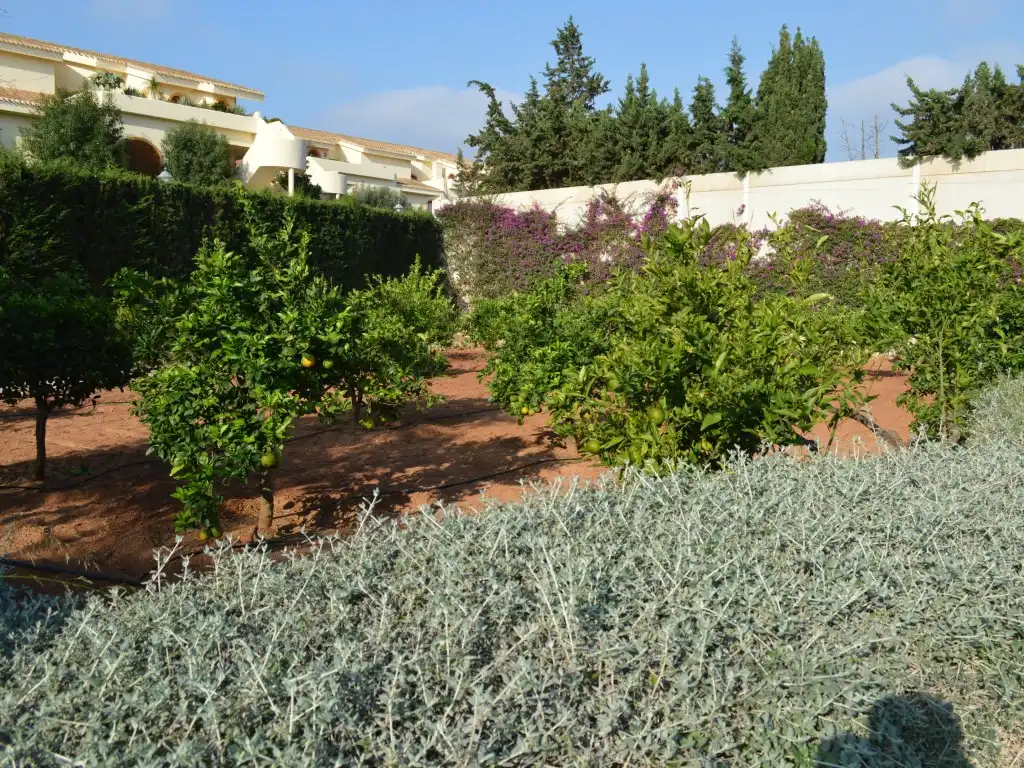Casa o xalet en venda a Cartagena, Murcia
