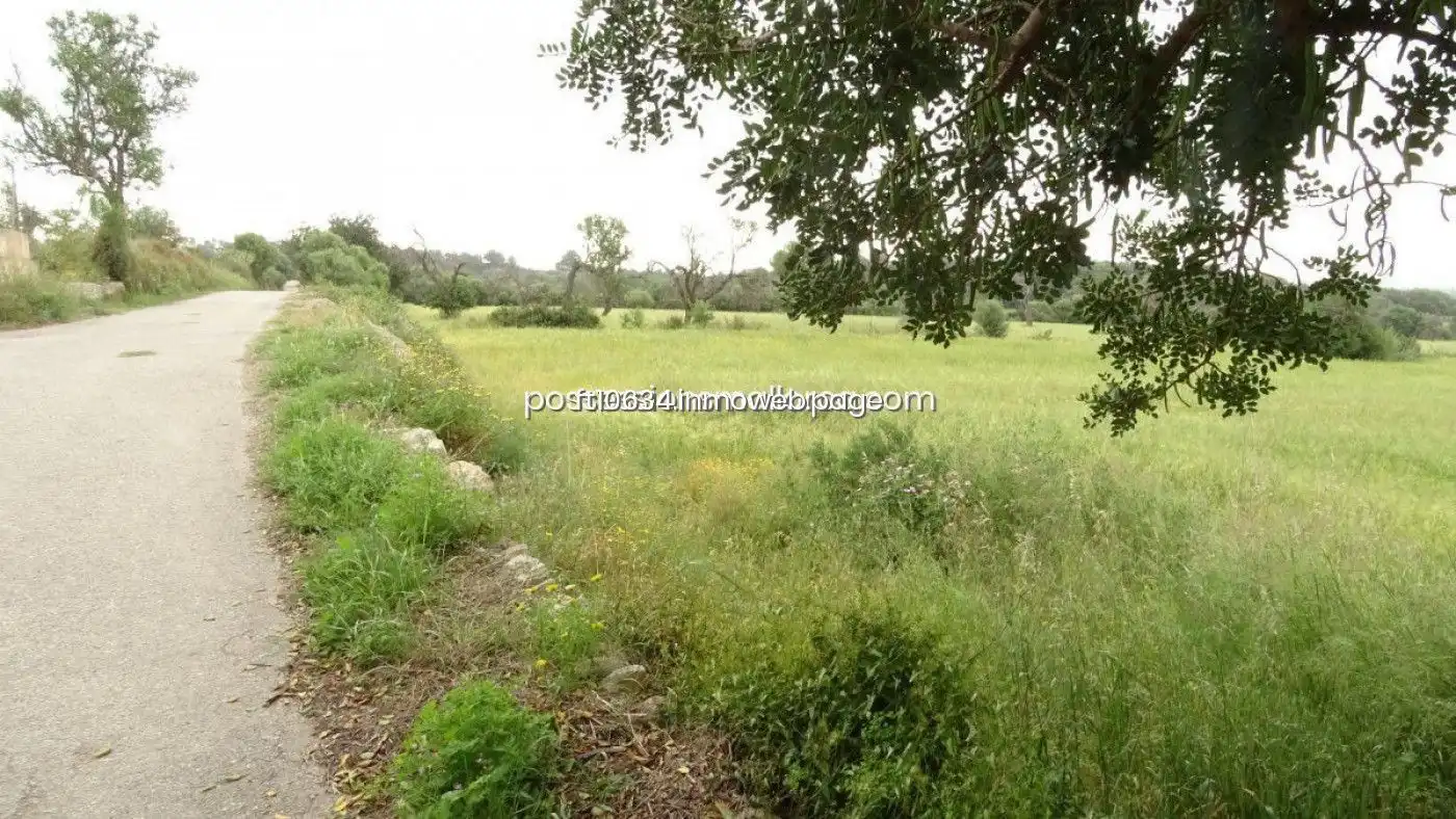 Terreno rustico in vendita a Llucmajor pueblo