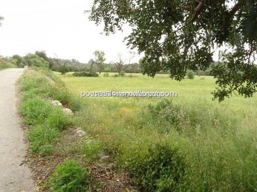 Terreny rústic en venda a Llucmajor pueblo