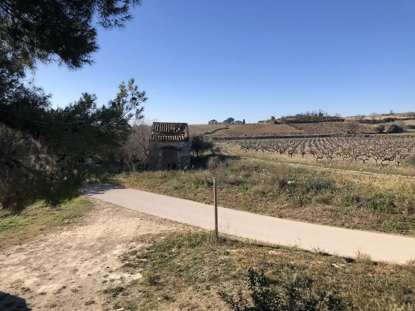 Finca rústica en venta en Castellví de la Marca