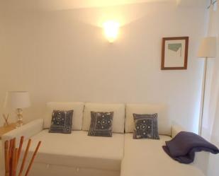 Living room of Flat to rent in  Sevilla Capital  with Air Conditioner, Furnished and Pets allowed