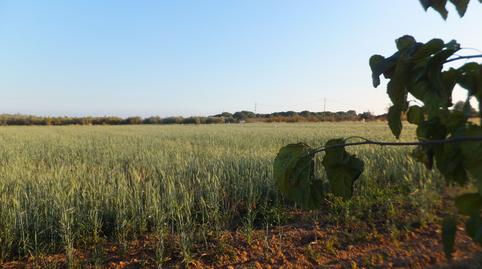 Foto 5 von Grundstücke zum Verkauf in Partida el Roquis, 34, Ponent, Reus
