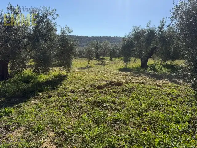 Grundstücke und Bauplätze zum Verkauf in San Rafael, imagen 3