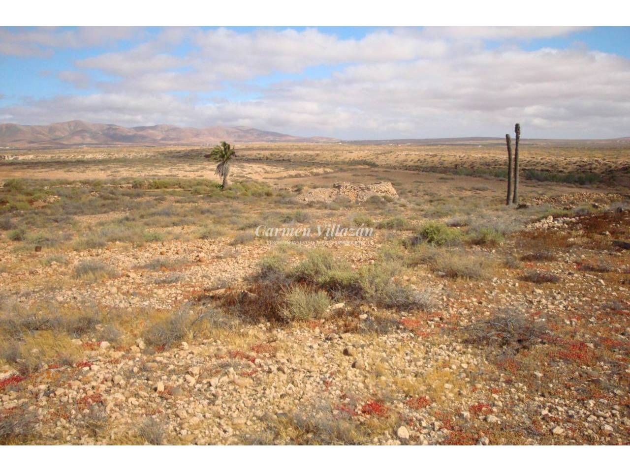 Terreny industrial en venda en Antigua