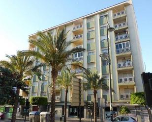 Exterior view of Flat for sale in El Ejido  with Terrace
