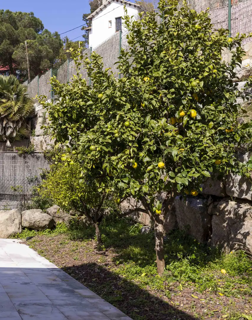 Casa o chalet en venta en Fonolleda, Vallvidrera - Tibidabo - Les Planes