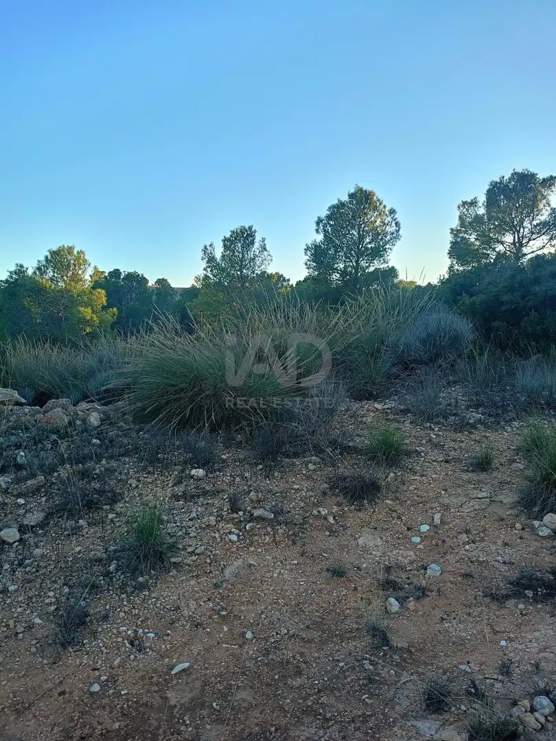Terreno en venta en Lorca