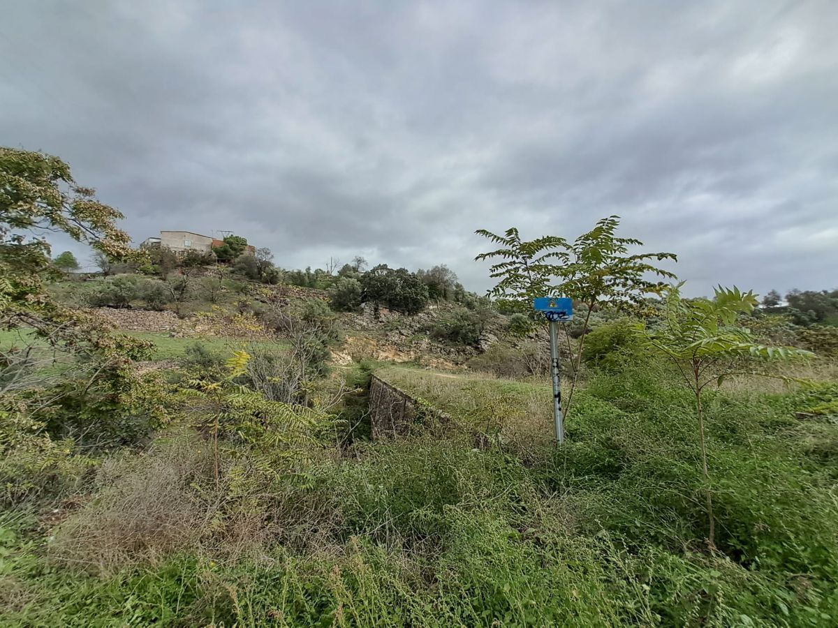 Country house zum verkauf in El Molar (Madrid)