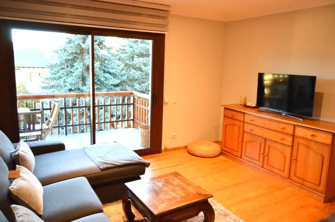 Sala de estar de Apartamento de alquiler en Alp con Calefacción, Parquet y Terraza
