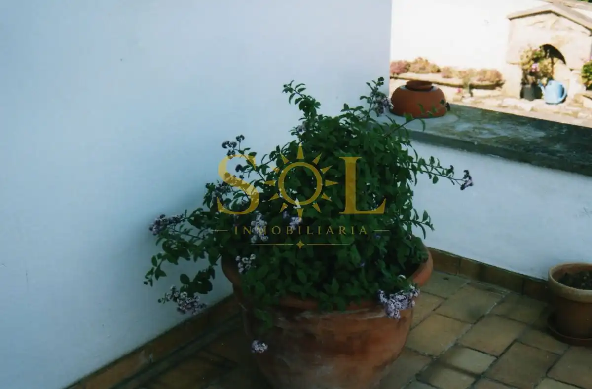Jardí de Casa o xalet en venda en Pravia amb Calefacció i Jardí privat