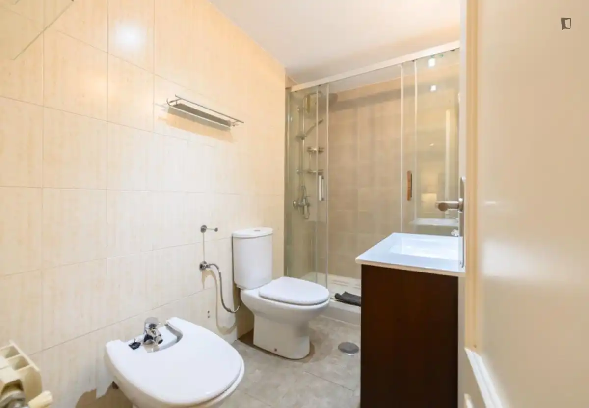 Bathroom of Apartments for rent in Madrid  with Air Conditioner, Heating and Furnished