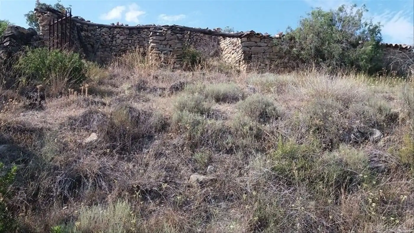 Rural land for sale in C-12 45, imagen 2