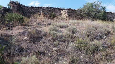 Finca en ager con cabaña de piedra, immagine 2