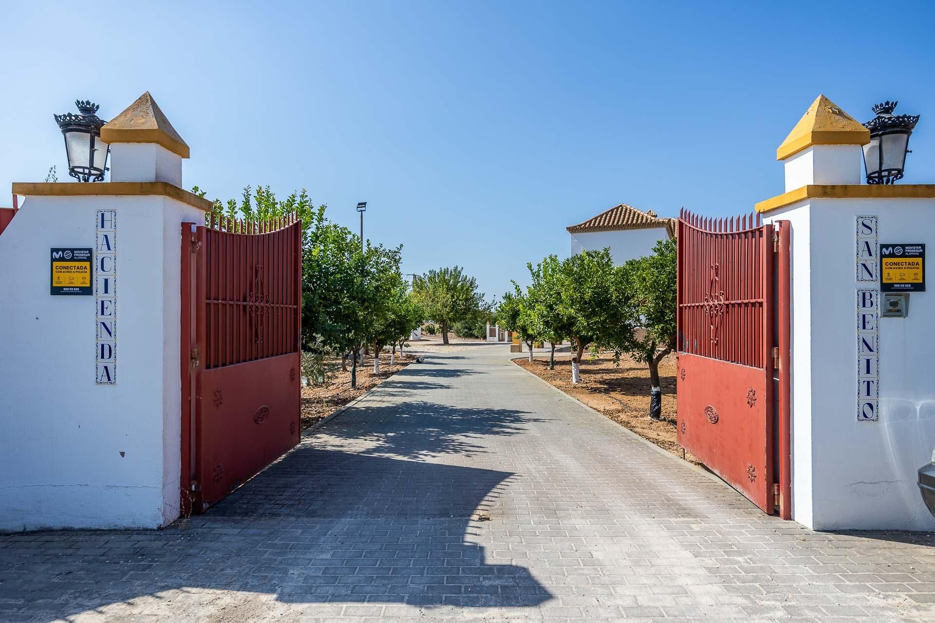 Exterior view of Country house for sale in Carmona  with Private garden, Terrace and Storage room