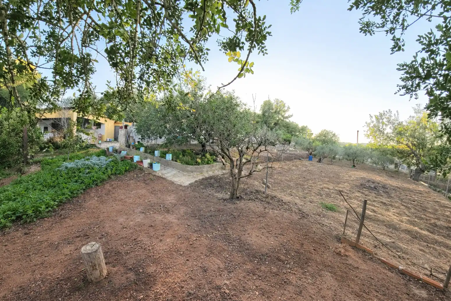 Jardín de Casa o chalet en venta en Algímia de Alfara con Jardín privado, Trastero y Piscina
