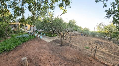 Foto 5 de Casa o chalet en venta en Algímia de Alfara, Valencia