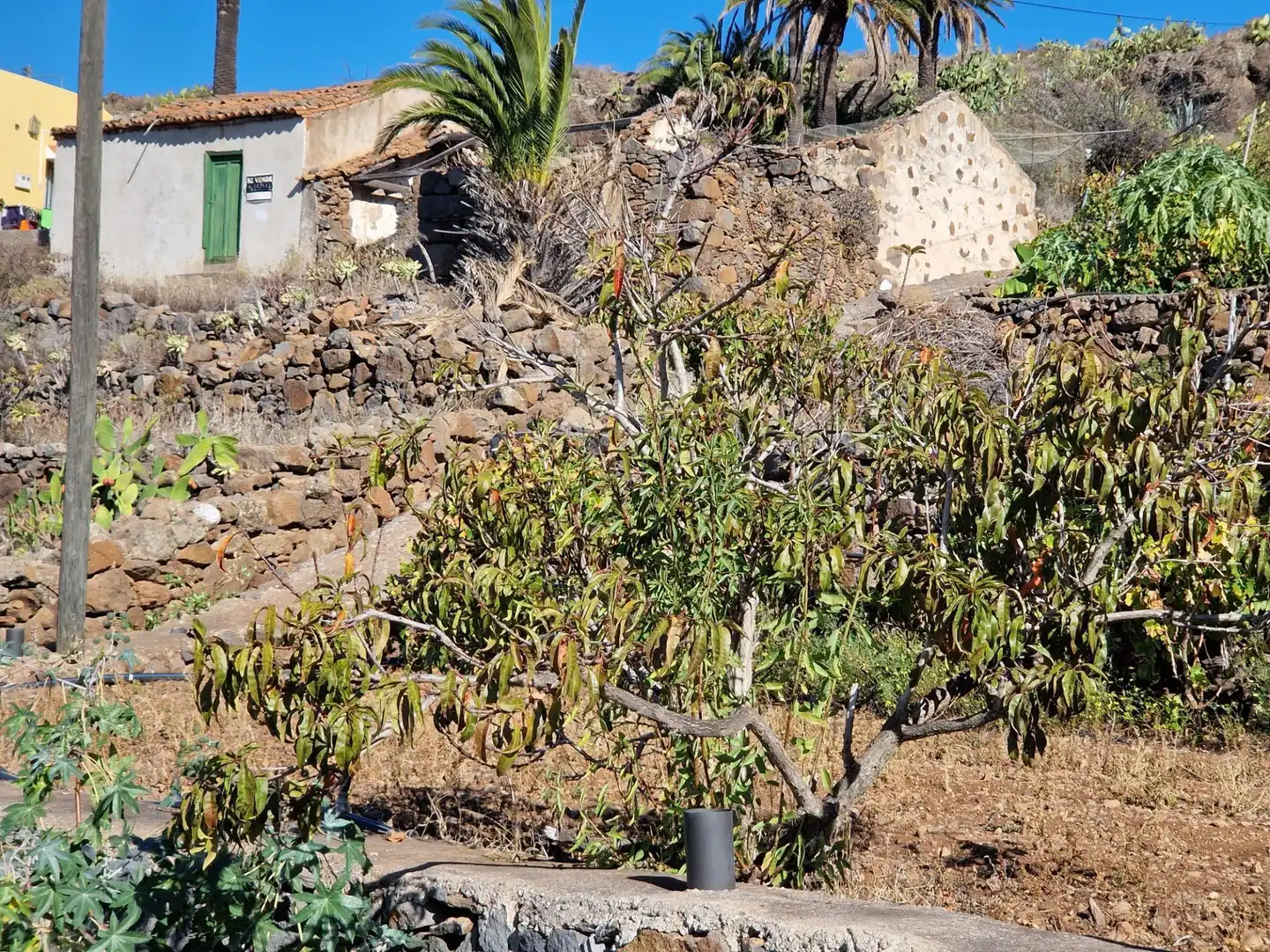 Garden of Residential for sale in Alajeró