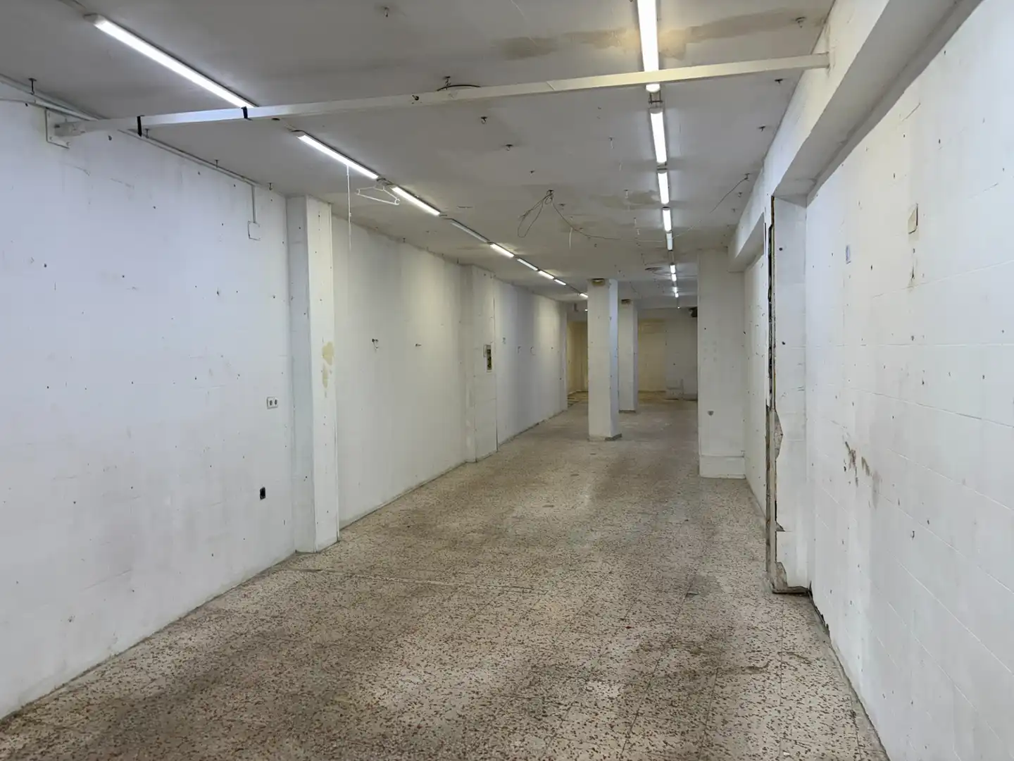 Local de alquiler en Cádiz