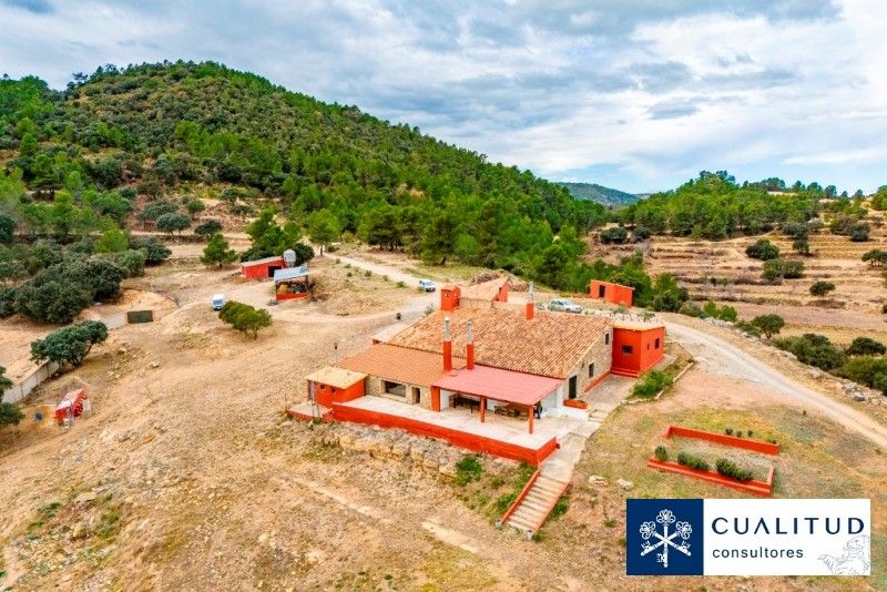 Exterior view of Land for sale in Torralba del Pinar