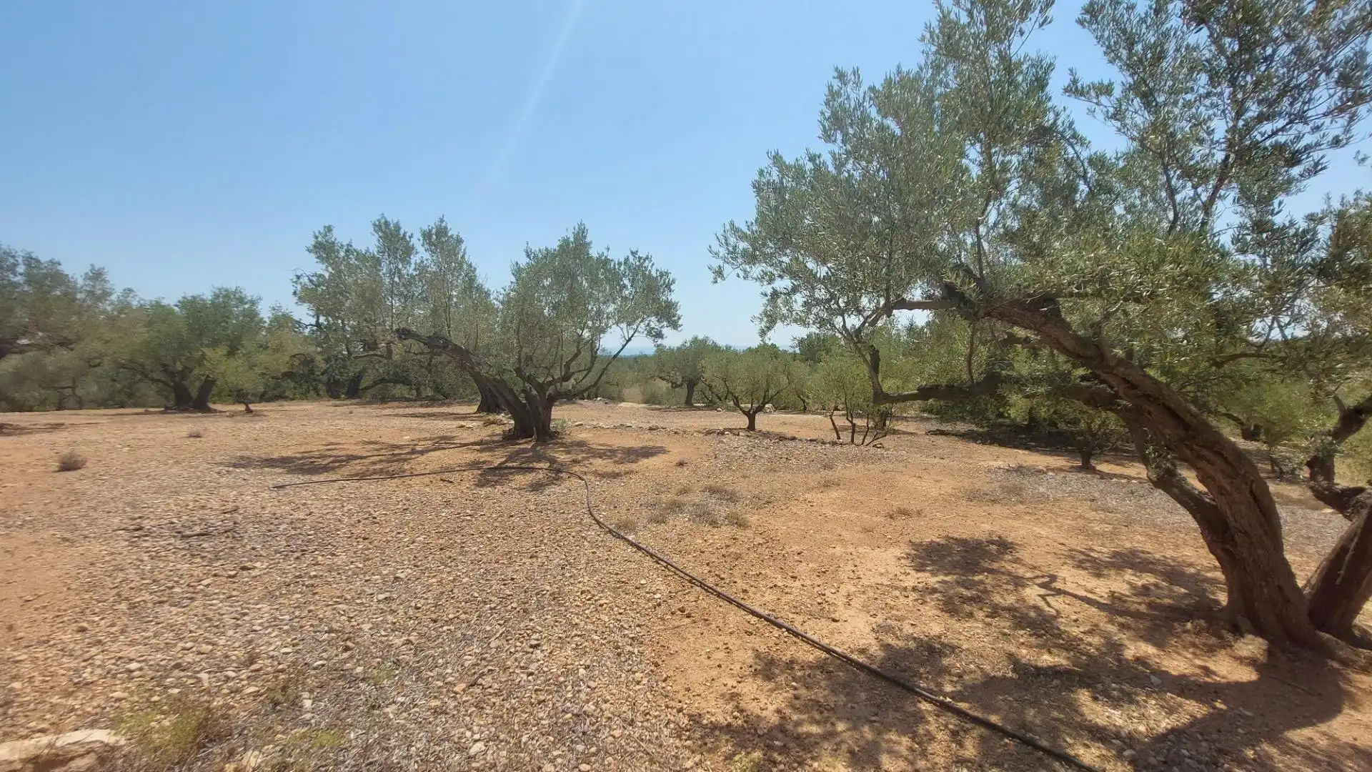 Maison rustique à vendre à L'Ampolla, imagen 16