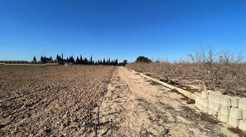 Foto 2 de Residencial en venta en Calle Partida de Valverde Bajo, Polígono 120, Valverde, Elche / Elx