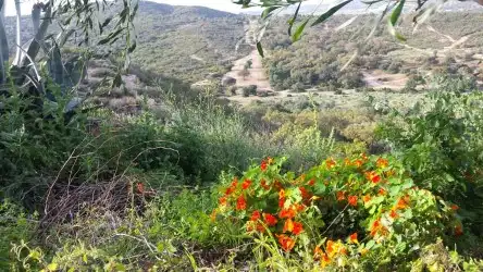 Exterior view of Land for sale in Cádiz