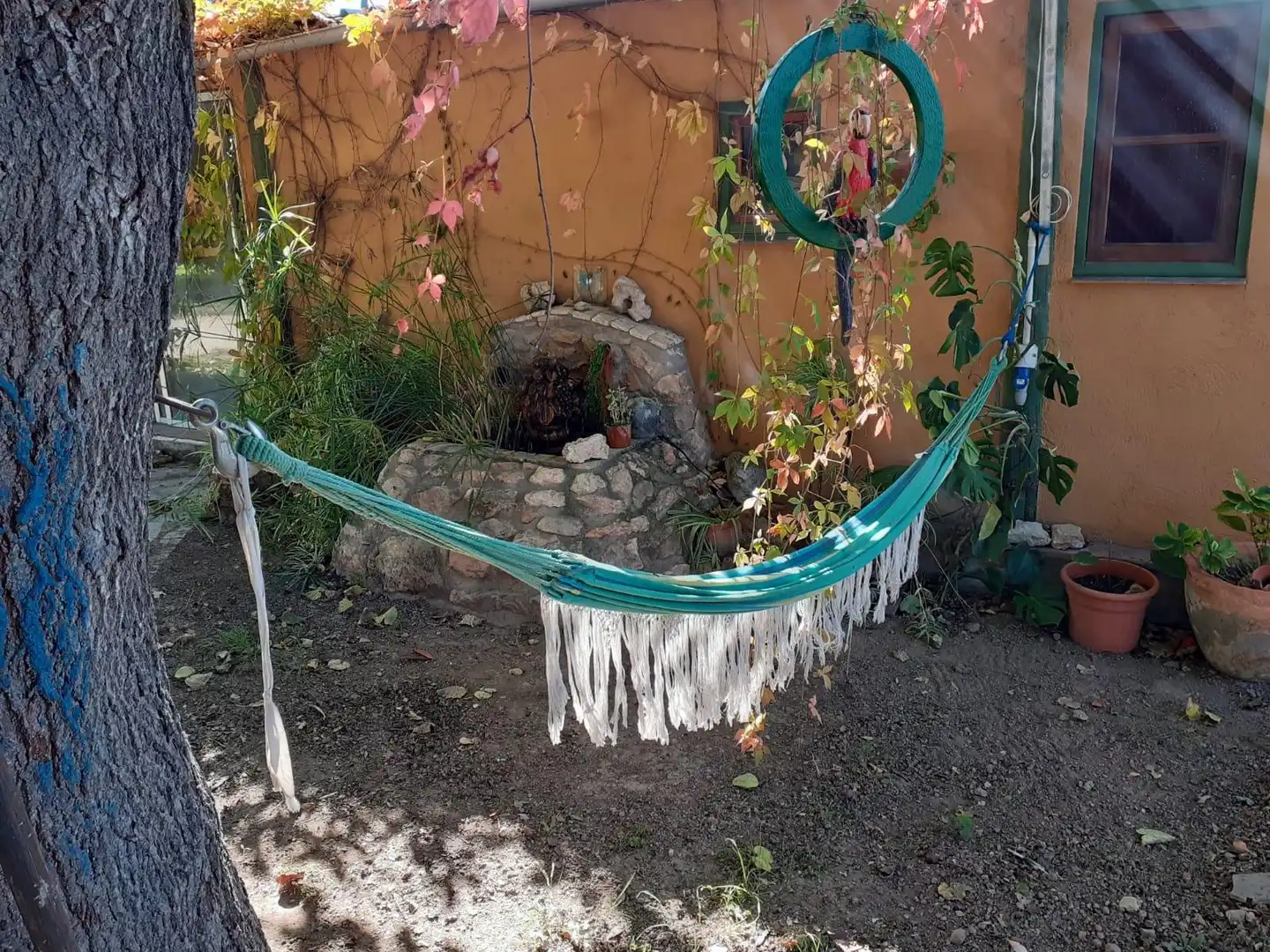 Jardí de Finca rústica en venda en Vallmoll