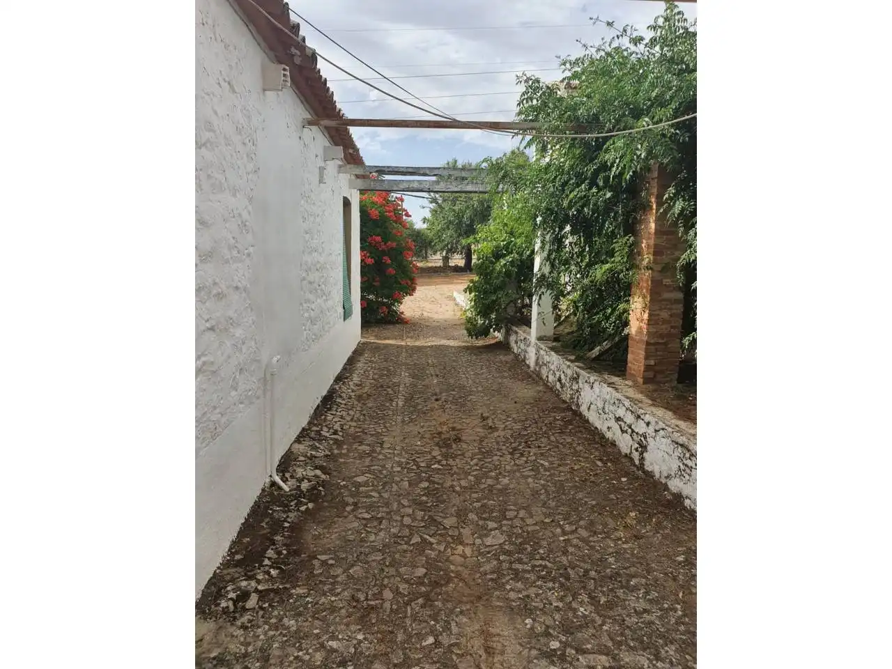 Vista exterior de Finca rústica en venta en Torreperogil