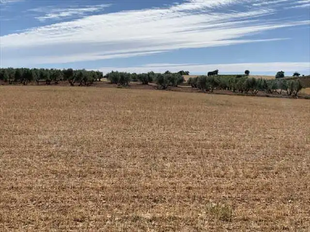 Terreni e lotti in vendita a Villamayor de Santiago