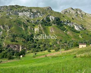 Land for sale in Amieva