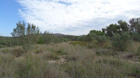 Finca rústica en venta en Pinell de Brai con agua, imatge 5