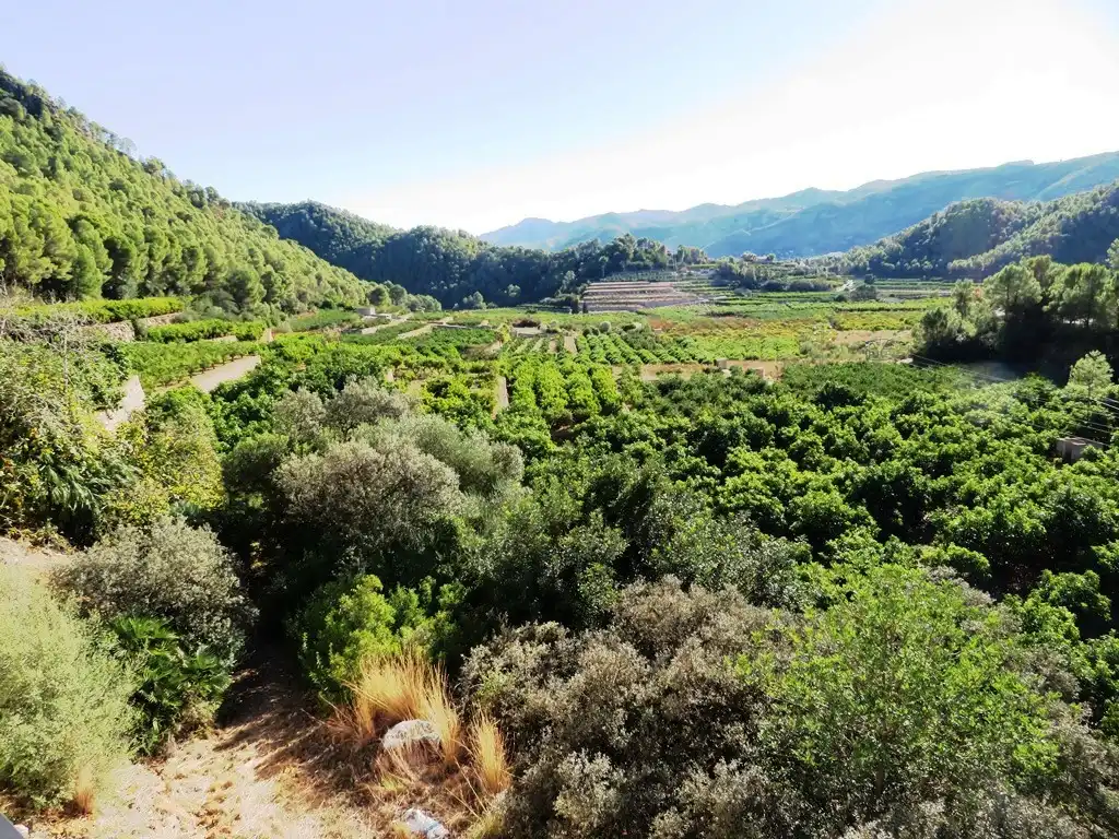 Casa o xalet en venda en L'Atzúbia amb Jardí privat, Terrassa i Traster