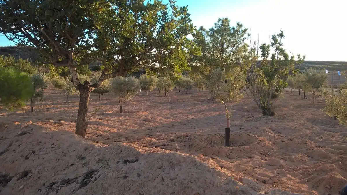 Finca rústica en venta en Alcantarilla