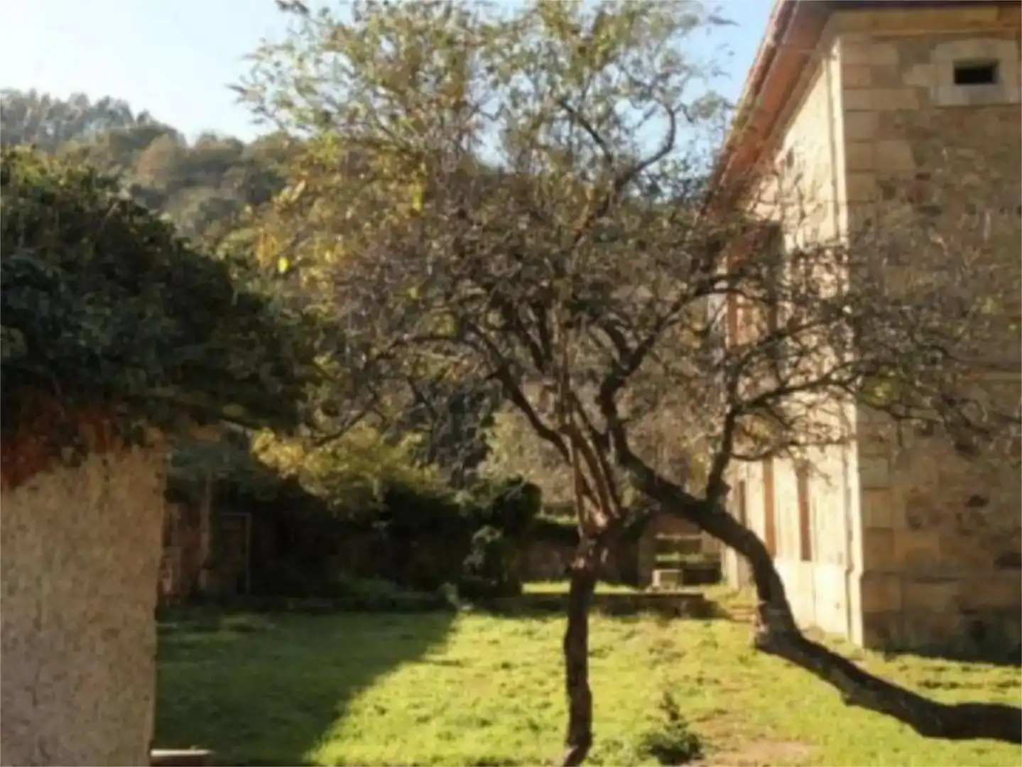 Garden of Houses for sale in Valdáliga, Cantabria
