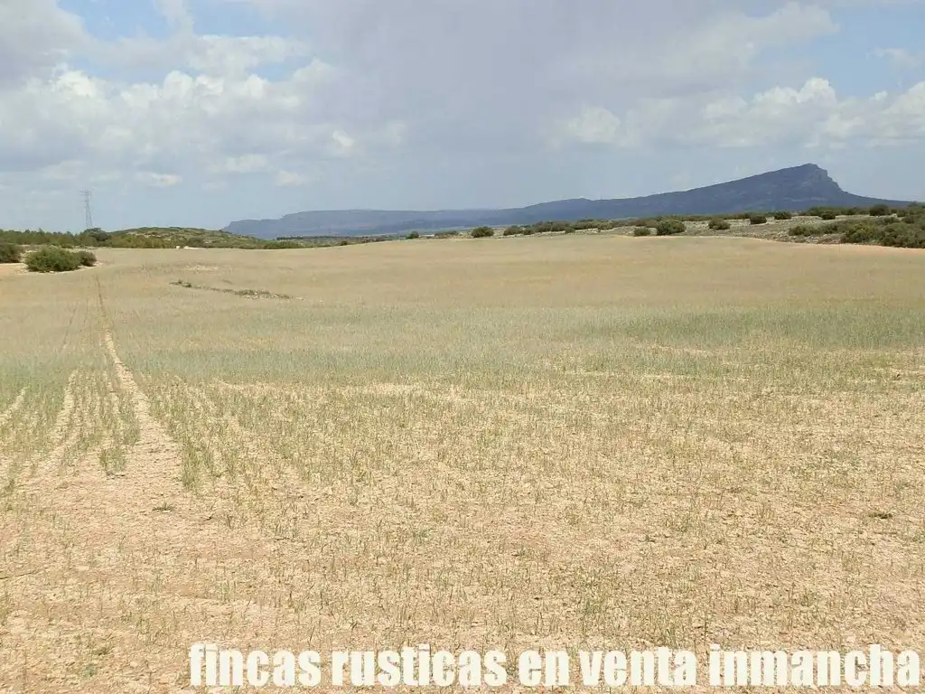 Terreni e lotti in vendita a Bonete, imagen 15