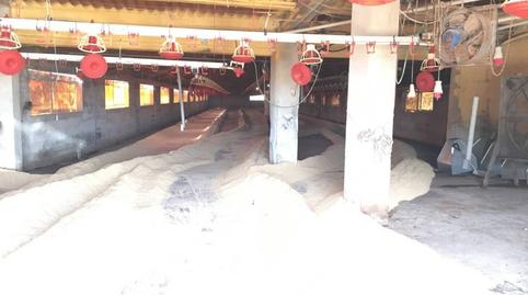 Photo 5 of Industrial buildings for sale in N/a, Eucaliptus - Poble Nou del Delta, Tarragona