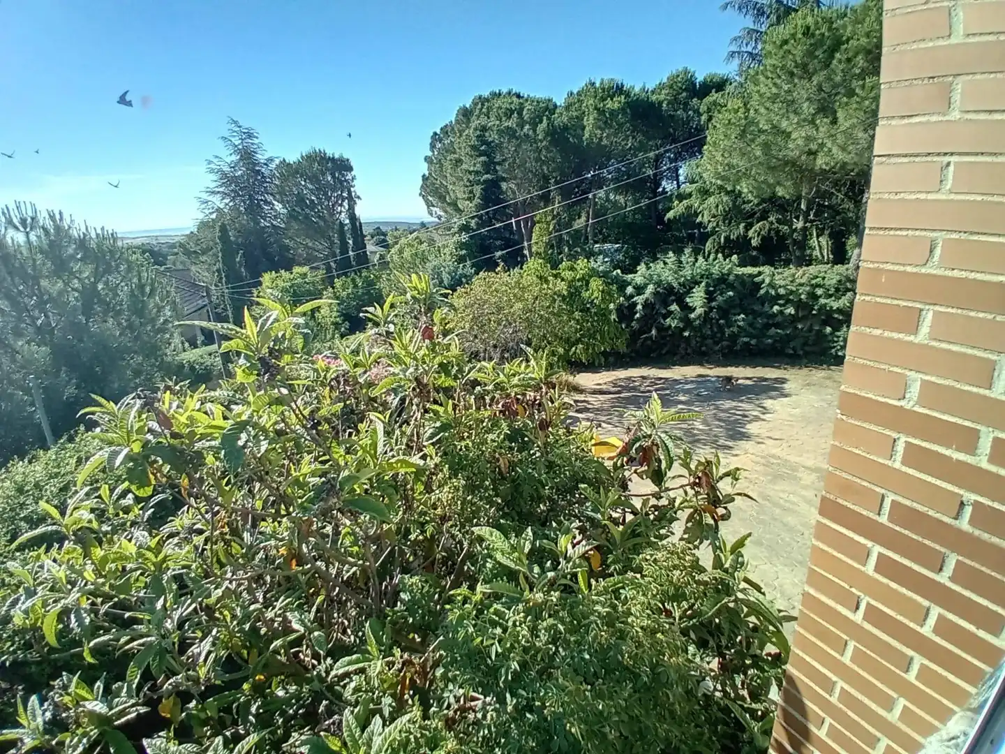 Villa con terrazza in vendita a Pedrezuela, imagen 36