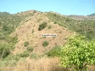 Terrenys i solars en venda a PARAJE JABONEROS Y OTROS, imagen 5