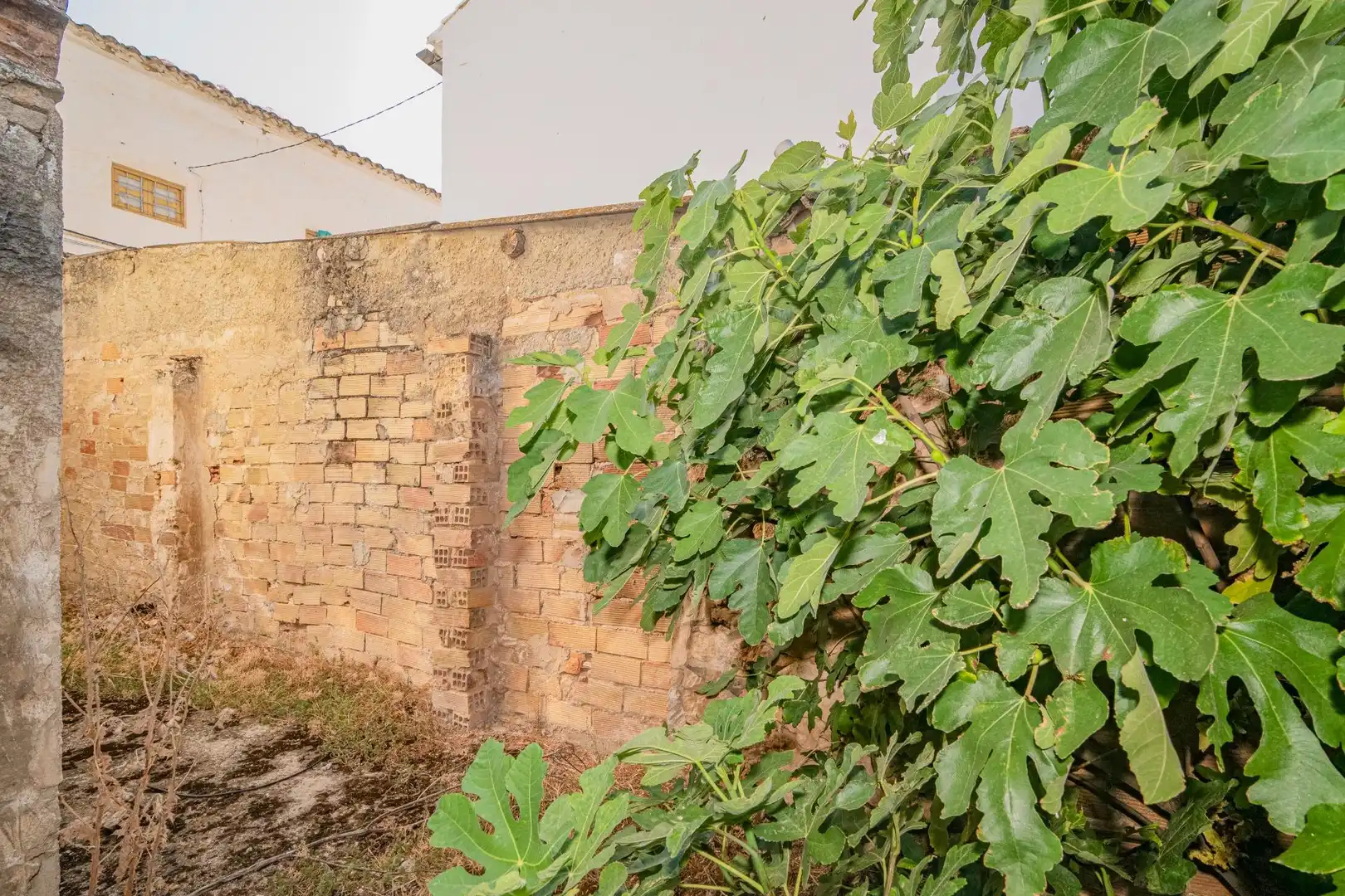 Finca rústica en venda en Iznájar