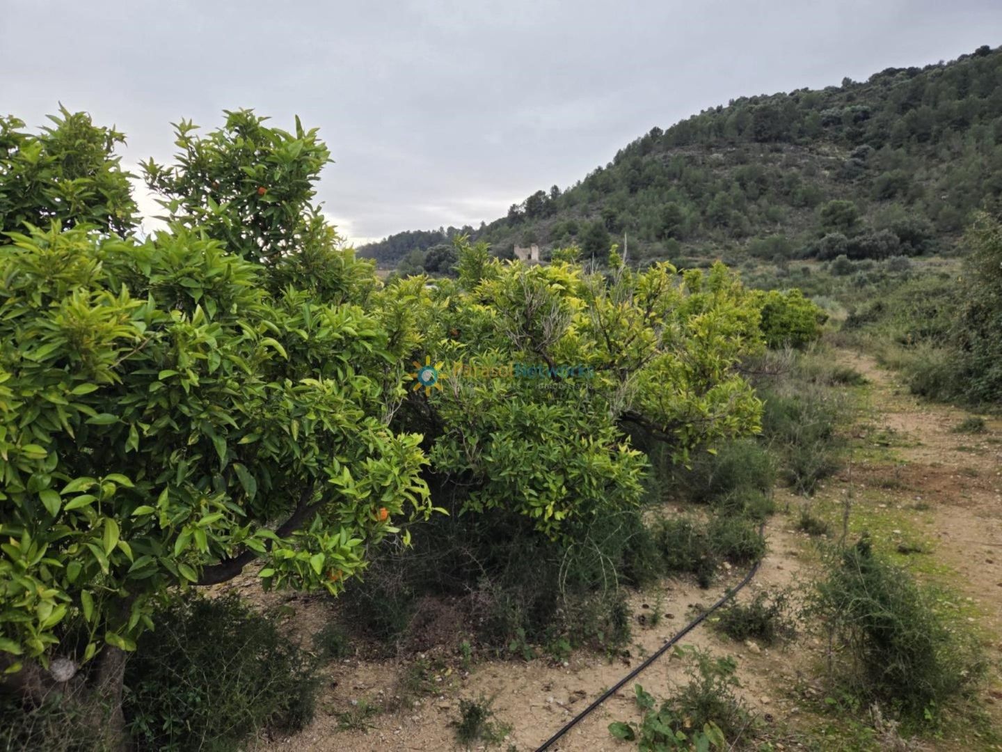Grundstücke zum verkauf in Rafelcofer