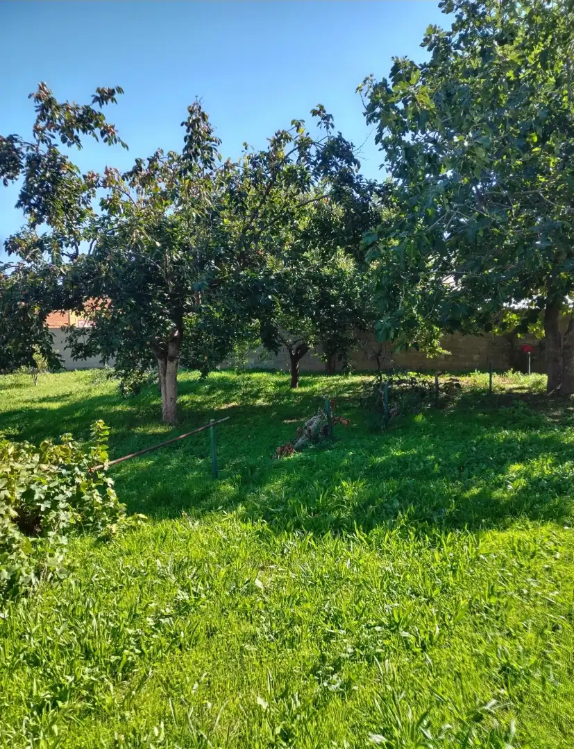 Casa o chalet en venta en Paseo de Recoletos, 32, El Tiemblo