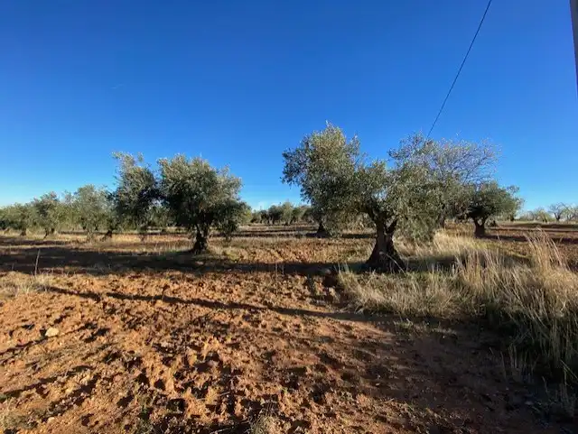 Terreno rustico in vendita a Sonseca, imagen 2