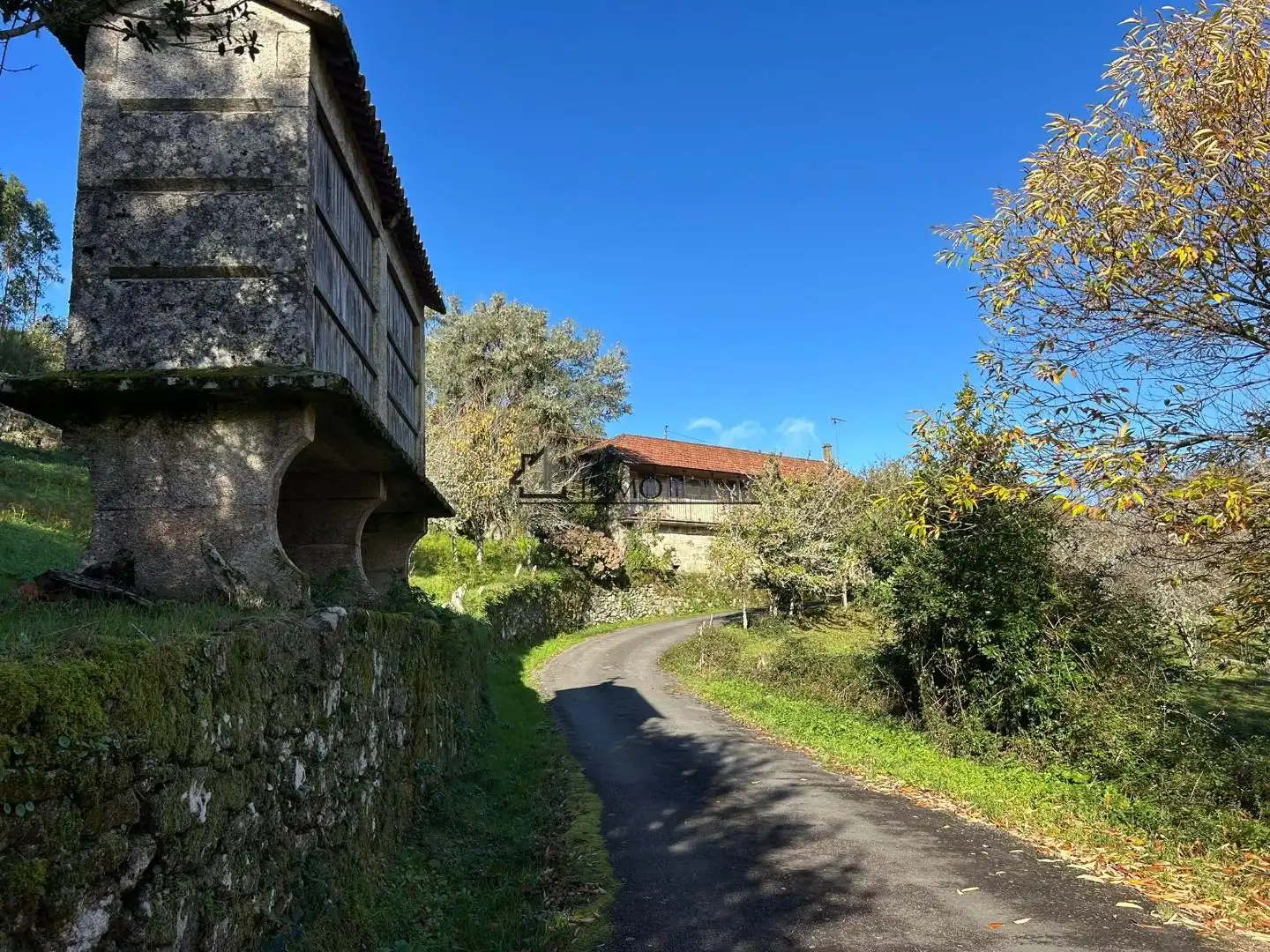 Vista exterior de Casa o xalet en venda en Cerdedo amb Jardí privat