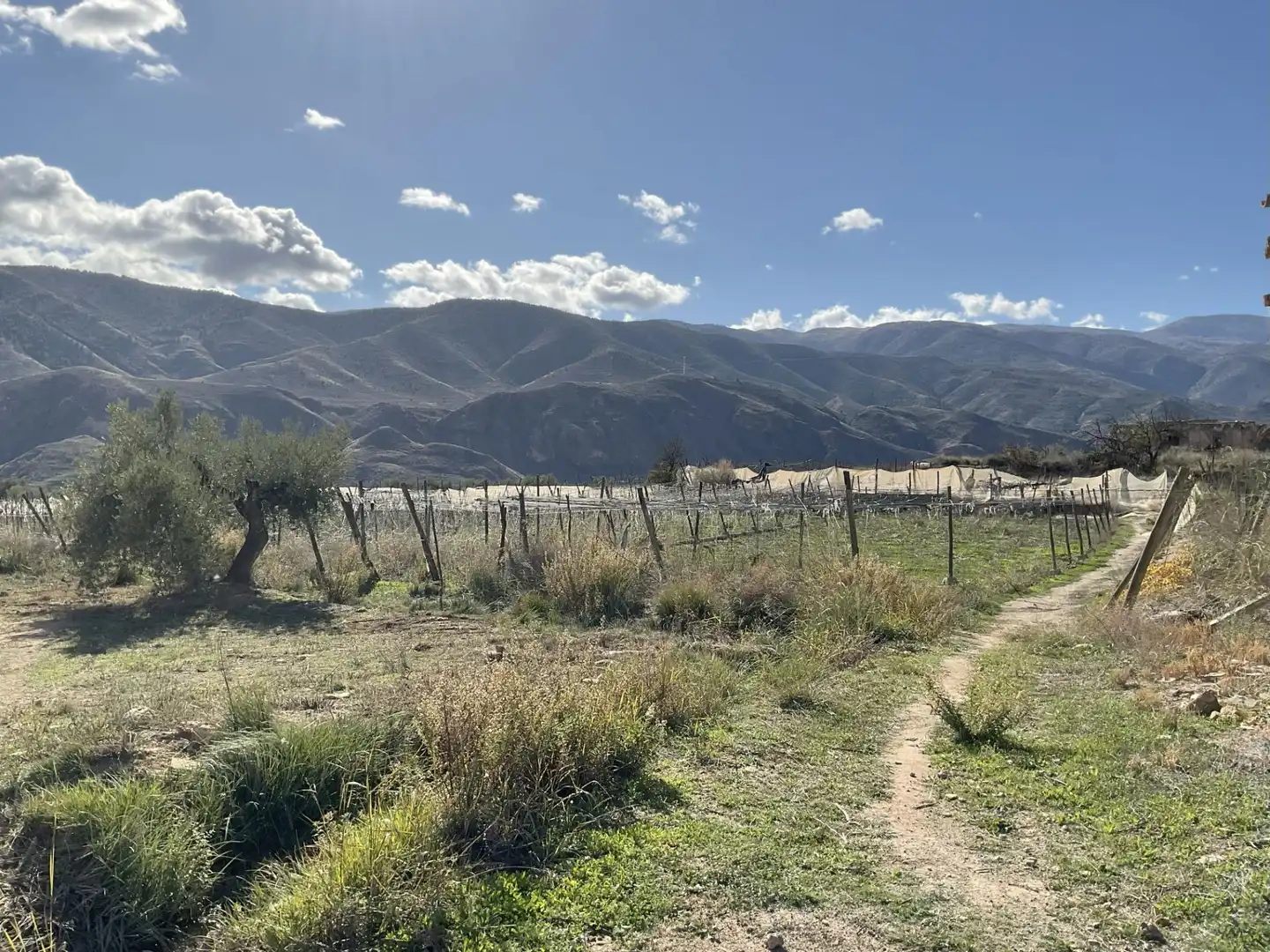 Land for sale in Padules